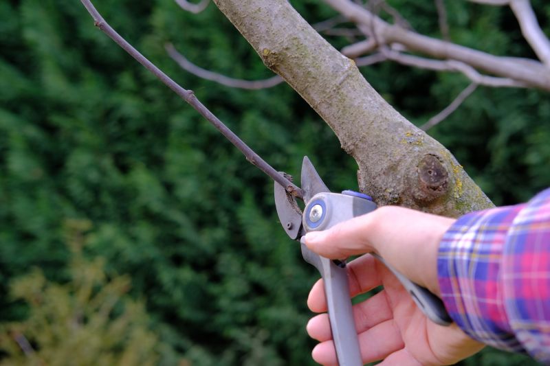 Tools for Pruning