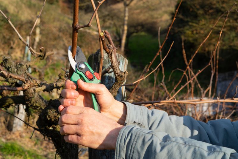 Pruning Equipment
