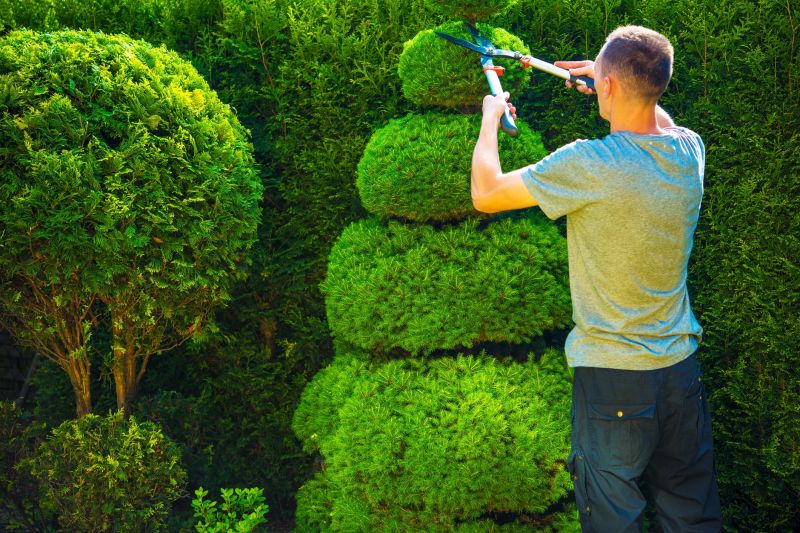 Landscaper Working on Shrubs